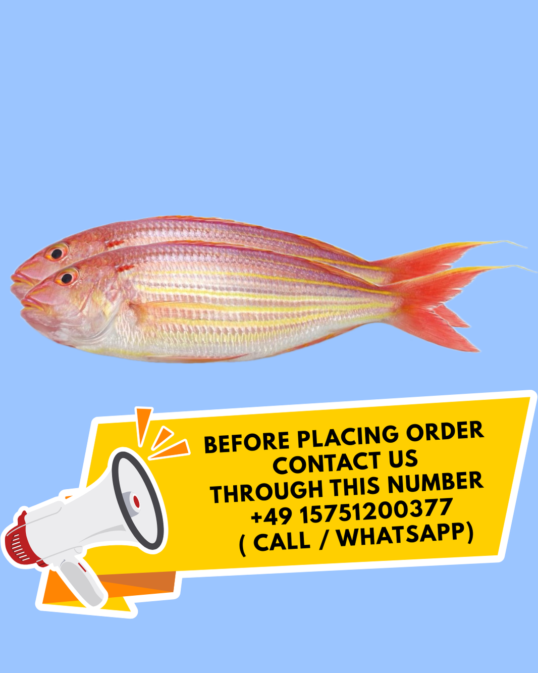 Sankara 1Kg