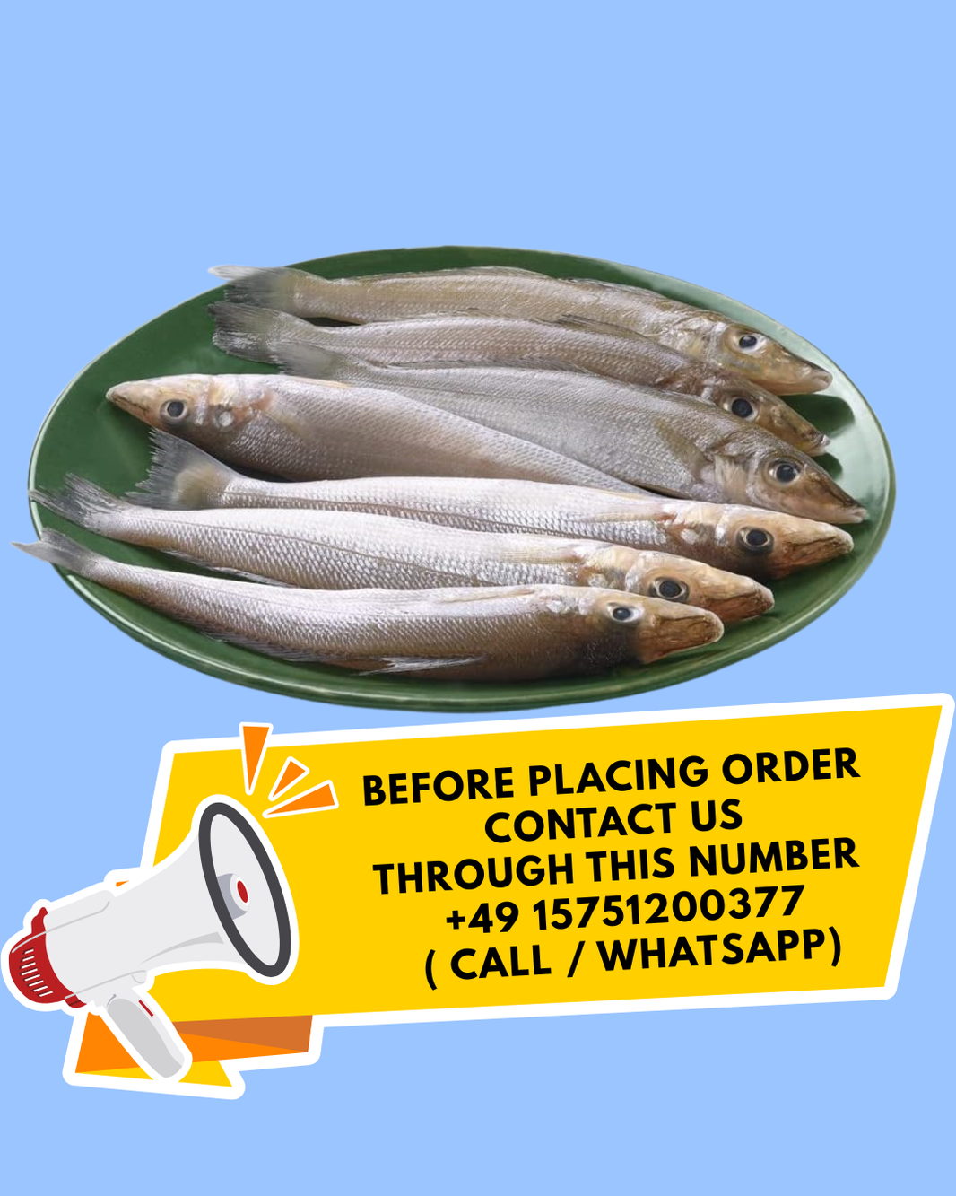 Lady Fish 1Kg