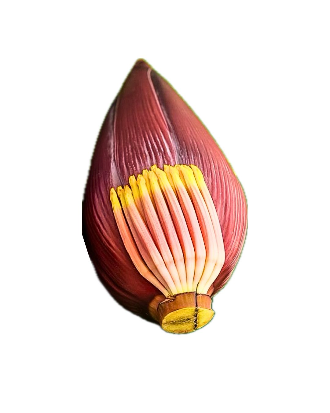 Banana Flower 600g to 750g