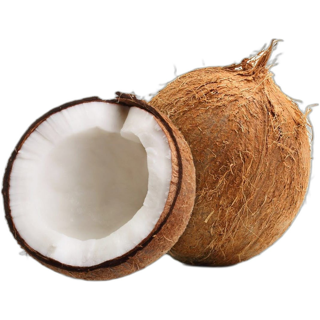 Coconut 1 Piece
