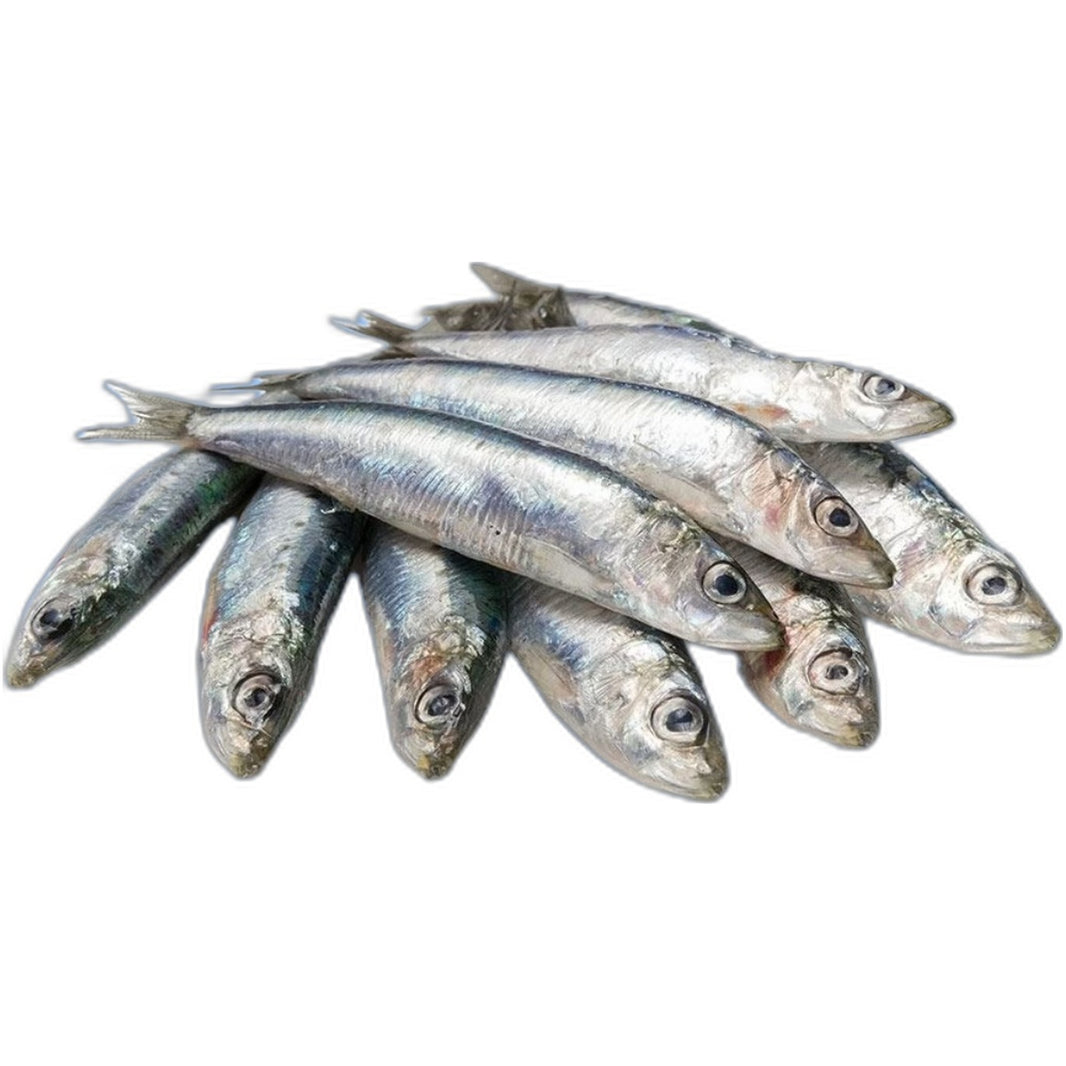 Frozen Sardine (Mathi) 1kg - Authentic South Indian seafood