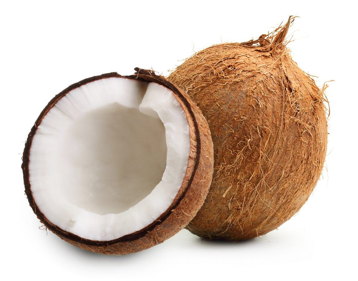 Coconut 1 Piece