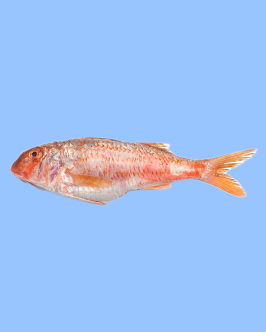 Red Mullet / Nagarai 1kg
