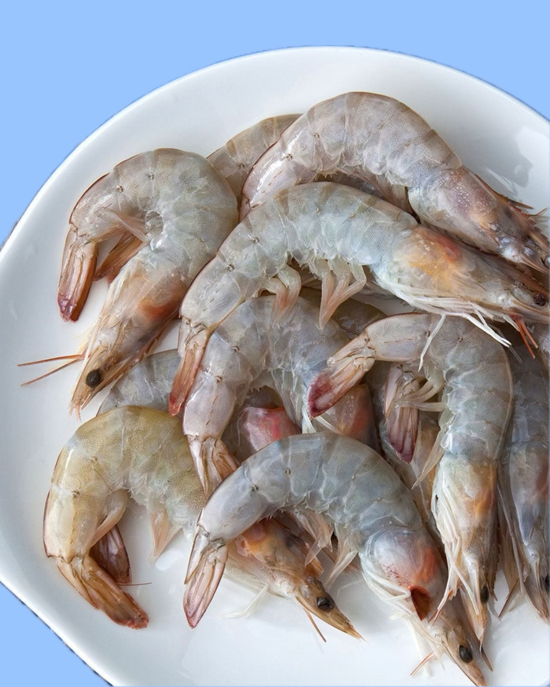 Prawn 1kg