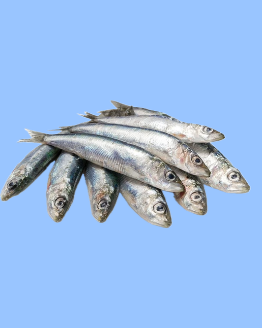 Sardine / Mathi 1kg
