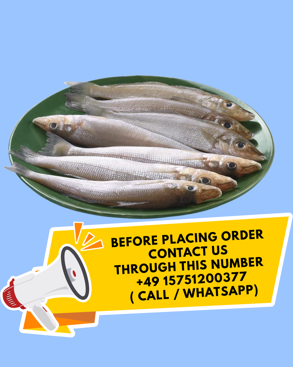 Lady Fish 1Kg
