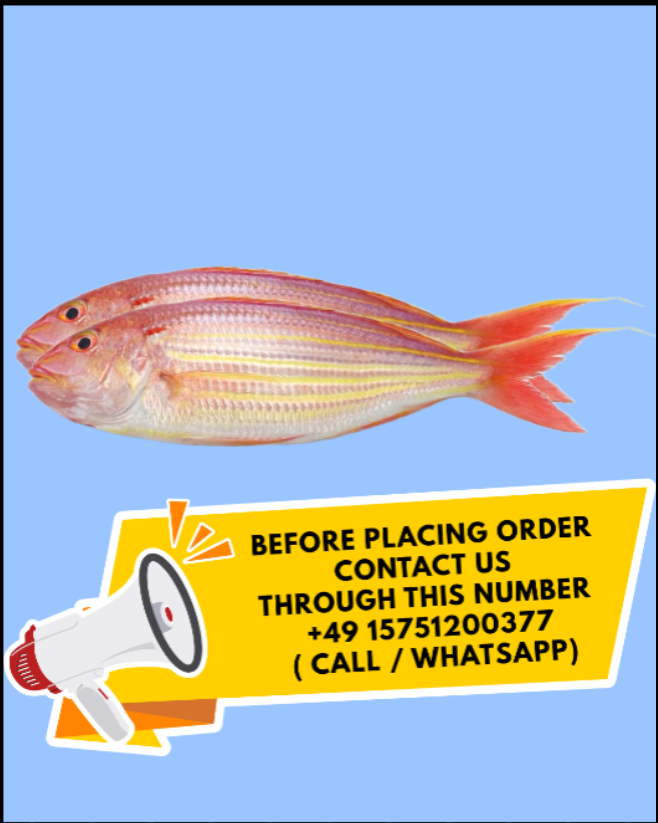 Sankara 1Kg