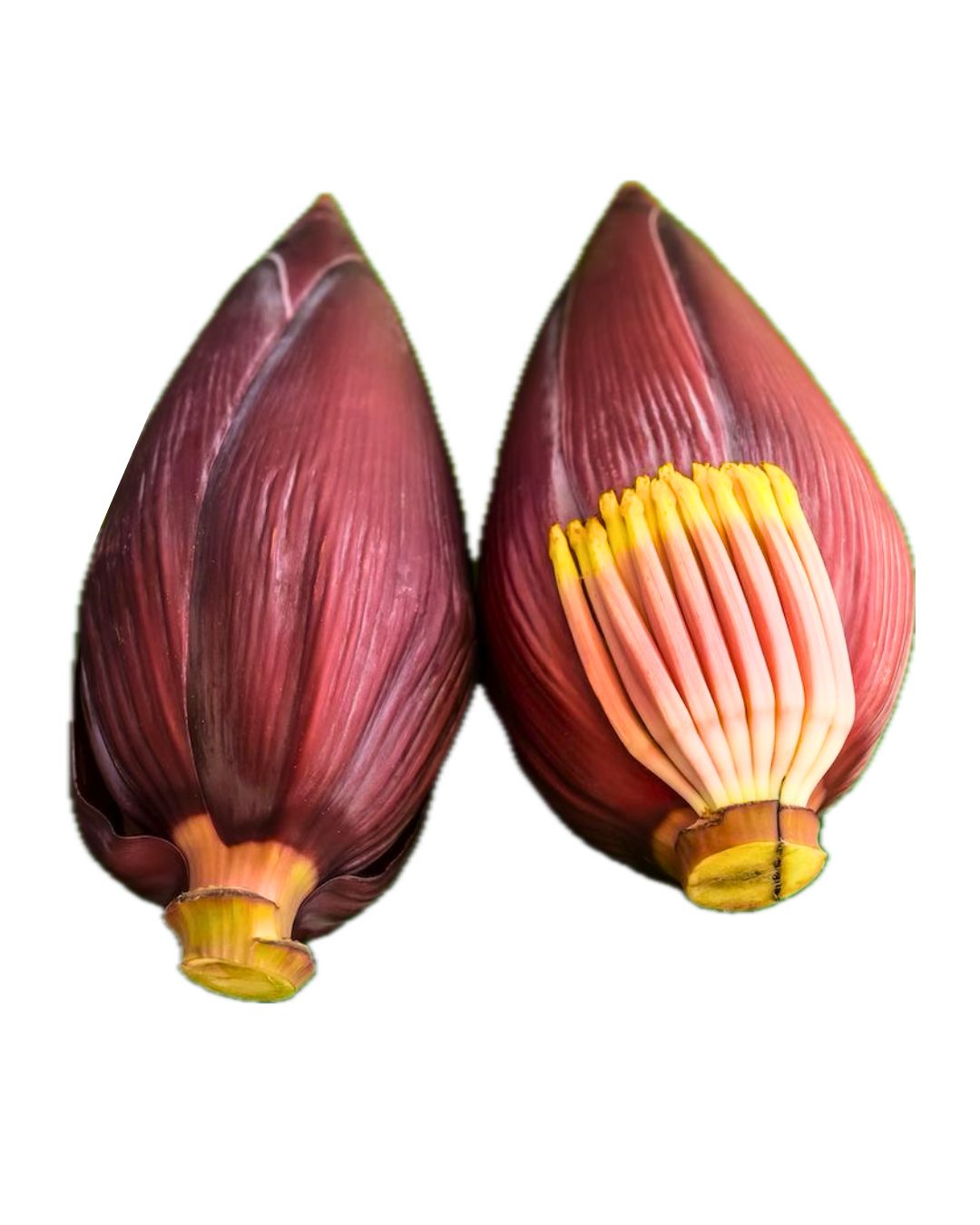 Banana Flower 600g to 750g