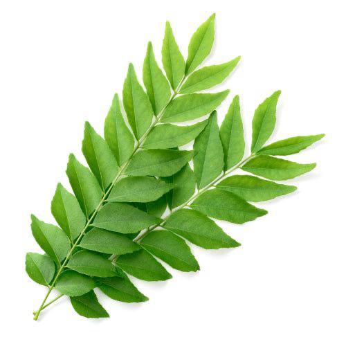 Curry Leaf 50g
