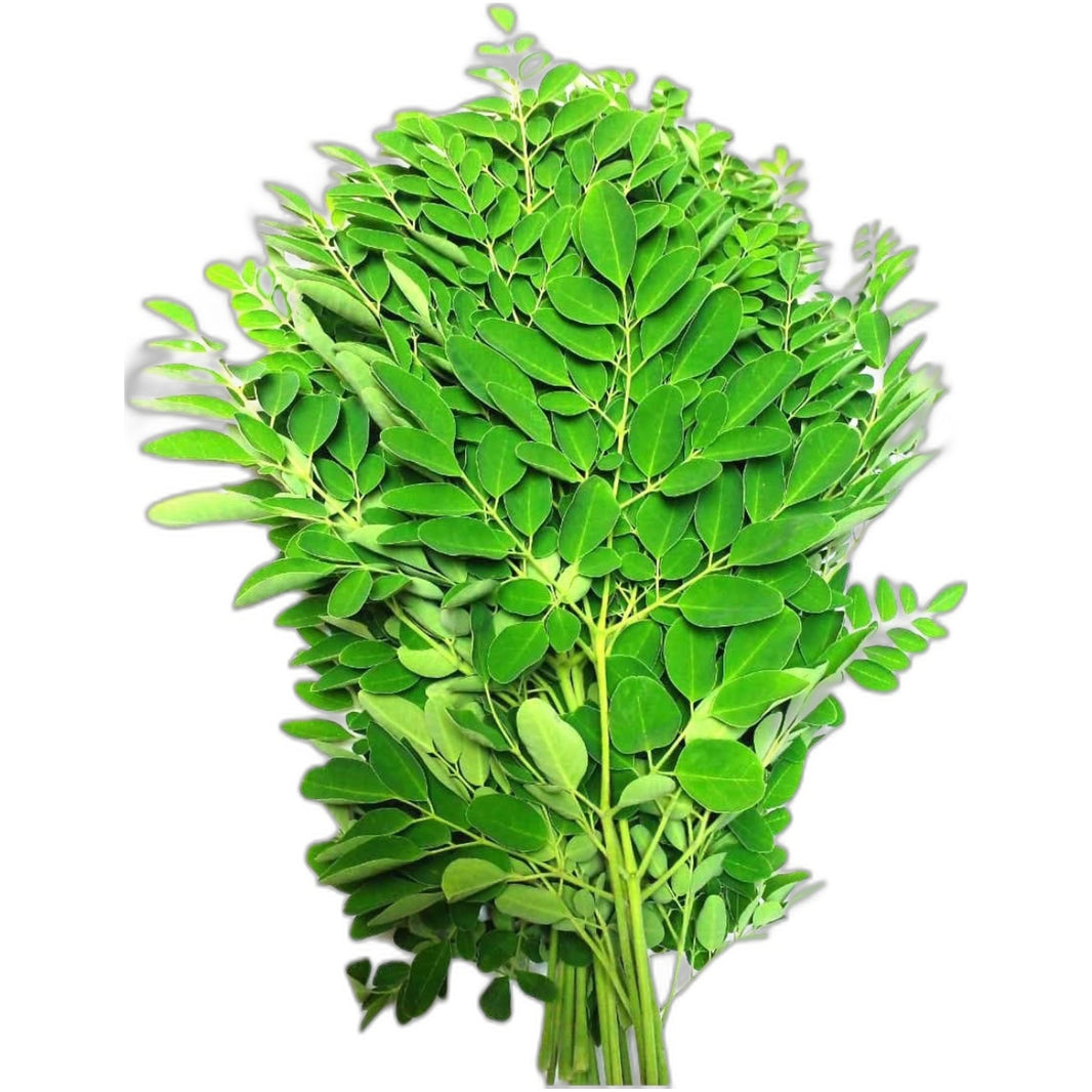 Drumstick leaves 220g to 250g by GPFOODS - Indian grocery product