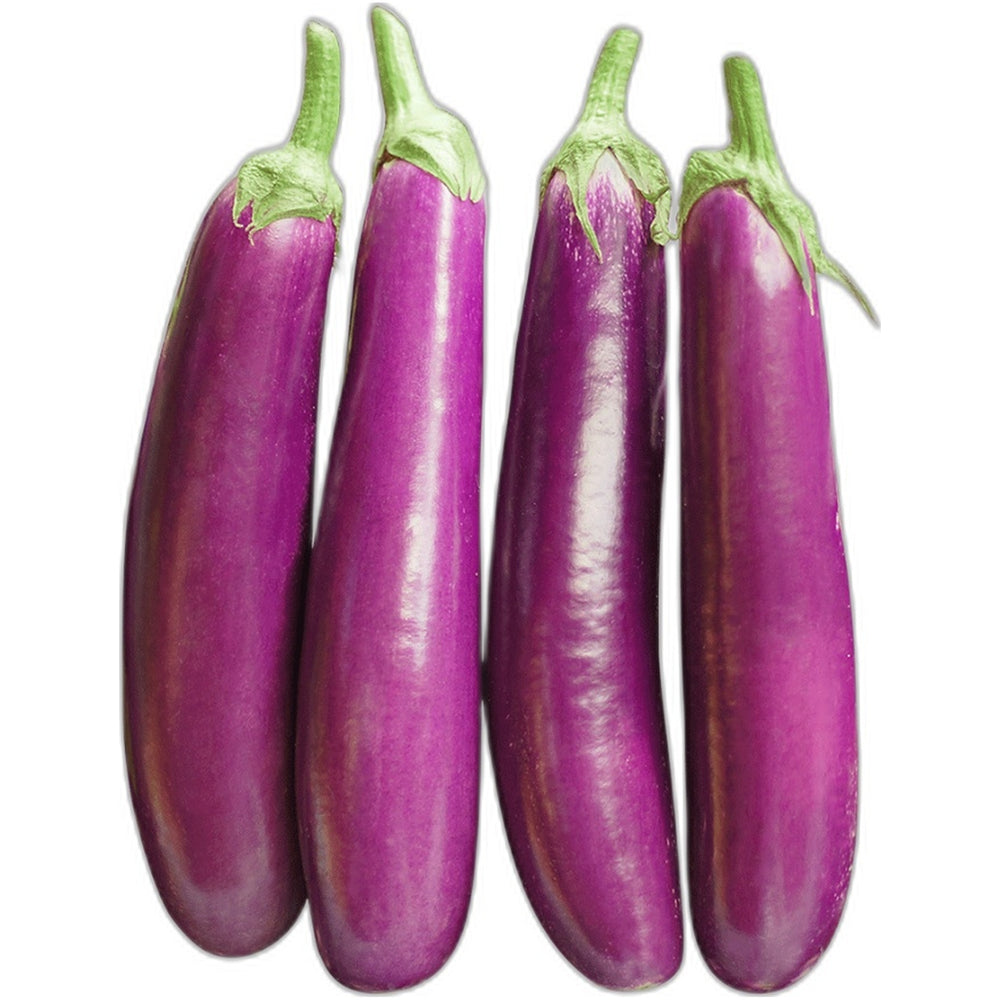 Fresh brinjal (eggplant) 250g - Purple vegetable for baingan bharta
