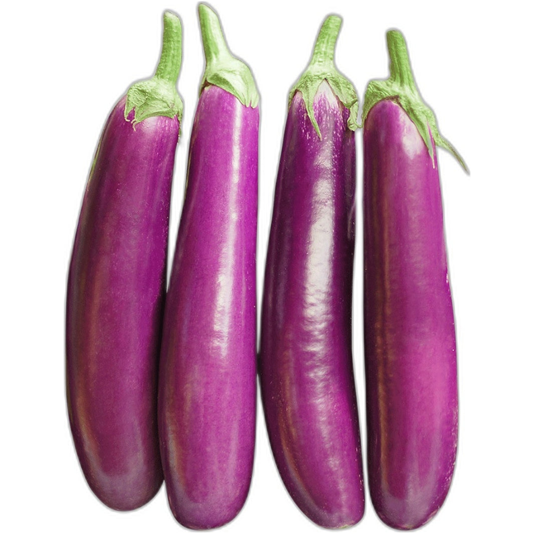 Fresh brinjal (eggplant) 250g - Purple vegetable for baingan bharta