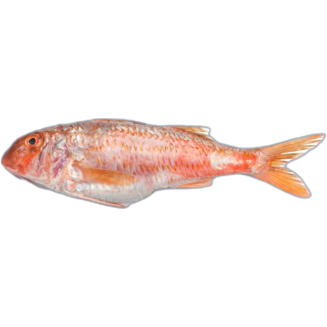 Frozen Red Mullet (Nagarai) 1kg - Authentic South Indian seafood